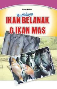 Image of Membuat Mainan Dari Kertas